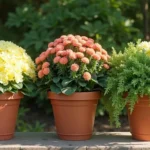 Fall Front Porch Planter & Pot Ideas